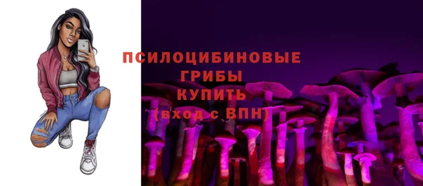 винт Лиски